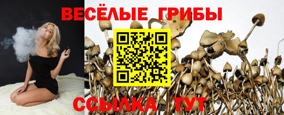 Галлюциногенные грибы мицелий  Вход с VPN  Реж  Псилоцибиновые грибы MAGIC MUSHROOMS 